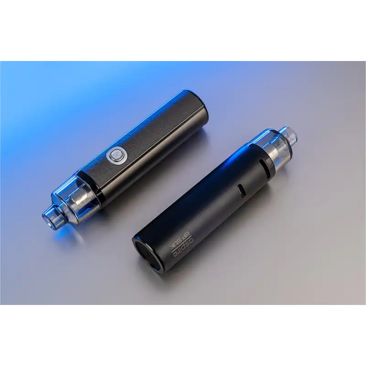 Deux BP Stik noirs couchés, bouton de tir et cartouche transparente