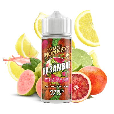E - Liquide Harambae 100ml - Twelve Monkeys - BYCLOPE