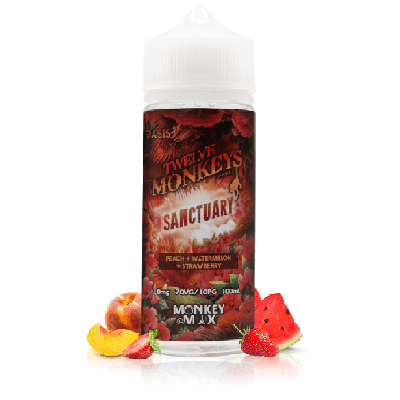 Sanctuary 100ml - Twelve Monkeys - BYCLOPE