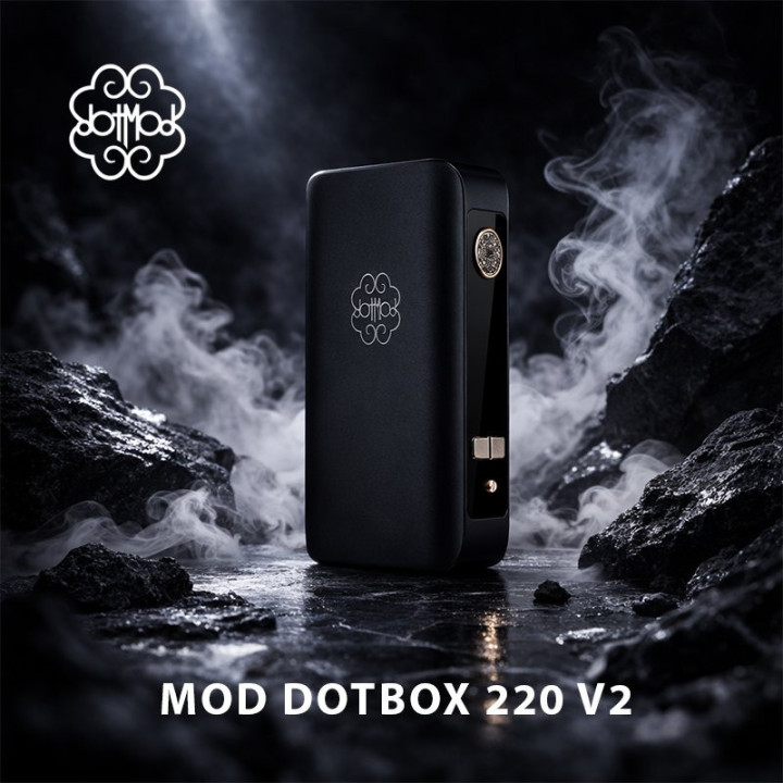 Mod dotBox 220 V2 Dotmod, vue de dos