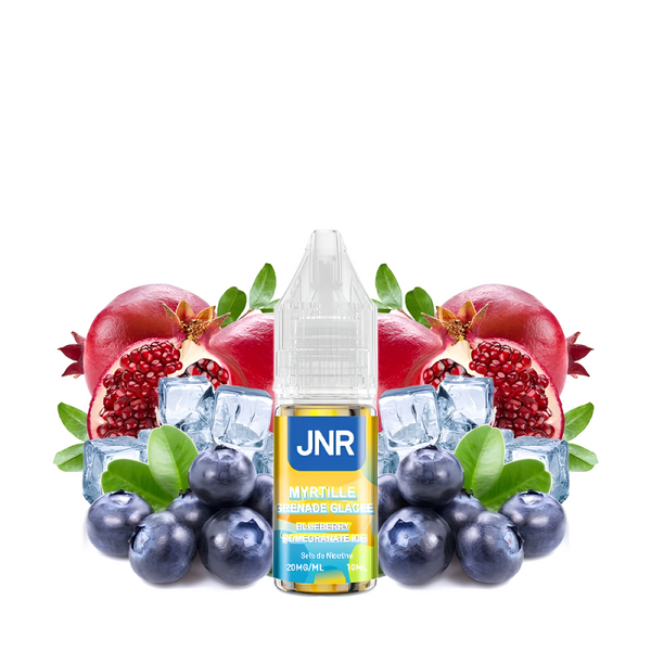 E-liquide BlueBerry PomeGranate Ice 20mg 10ml - JNR