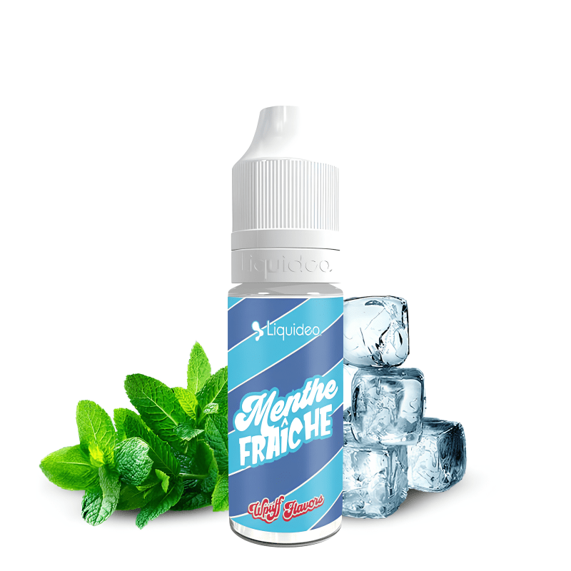 E-liquide Menthe Fraîche Wpuff 10ml Liquideo